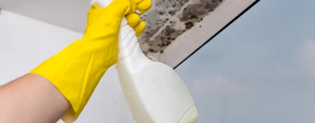 Limpiando moho en el techo de baño